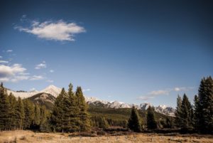 Matericlook: Landscape00 by Francesco Perratone